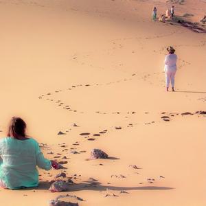 Castle in the Moonlight