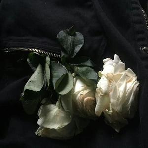 这世界那么多人