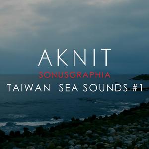 SONUSGRAPHIA / TAIWAN SEA SOUNDS #1(台湾海の音)