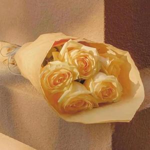 「FREE」'' W X Y M T K X ''