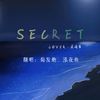 泓花鱼 - Secret