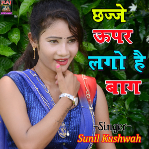 Chhajje Upar Lago Hai Bag