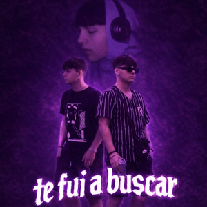 Te Fui a Buscar