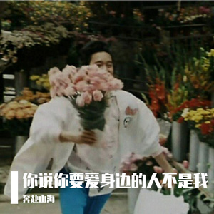 致敬我疯狂的爱你(半情歌）