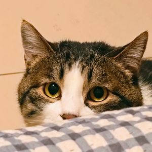 陪着我