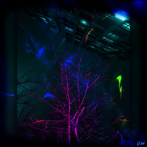 Амнезия (Slowed&Reverb)