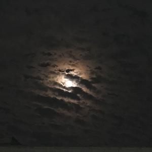 姑娘，今夜我不想睡觉，只想睡你（翻自 风子）