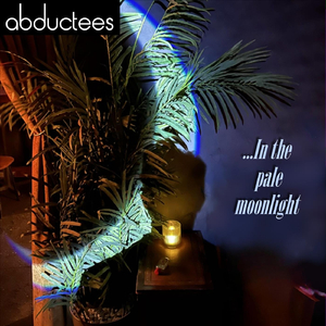 …in the Pale Moonlight