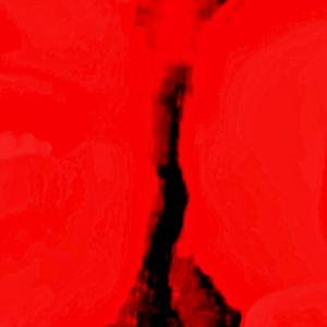 Ū