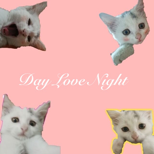 Day love Night（翻自 LDZ）