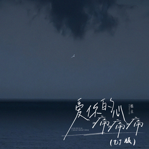 爱你的心痛痛痛 (DJ版)