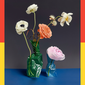 Curious Bliss (M. Pagliara 808-Disco RMX)