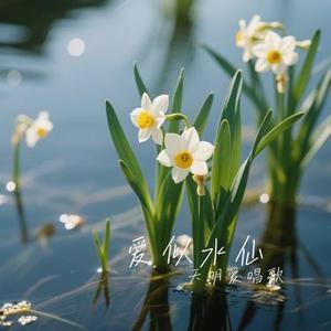爱似水仙（Cover 音乐的入门到改行）