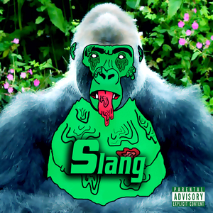 Slang