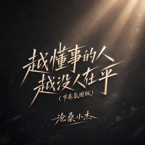 越懂事的人越没人在乎(节奏氛围版)