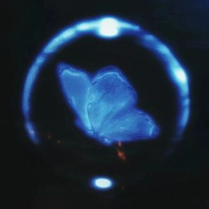 发廊女(Prod.Meecro)