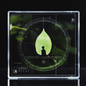 First Mate's Morning Gaze