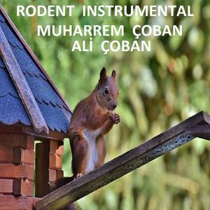 RODENT (INSTRUMENTAL)