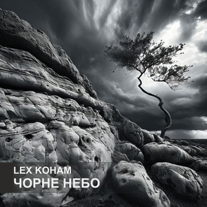 Тому у полі я