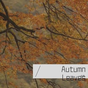 Autumn Leaves钢琴