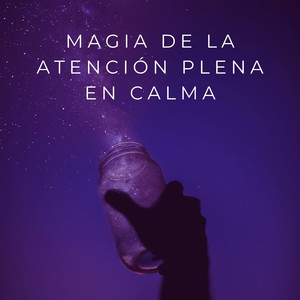 Meditaciones Serenas En El Flujo