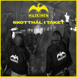 Passivt aggressiv inkomst