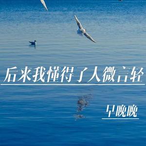 后来我懂得了人微言轻