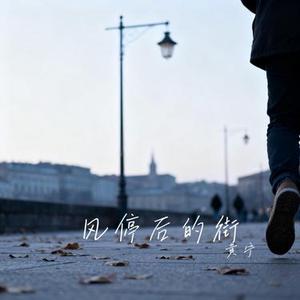 风停后的街