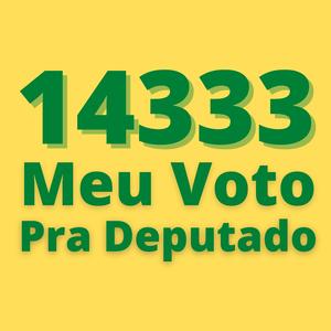 14333 Meu Voto Pra Deputado