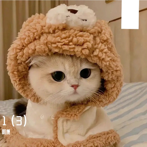 1 (3)