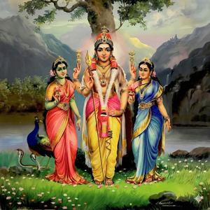 திருப்புகழ் 532 கை ஒத்து வாழும் (வள்ளிமலை)