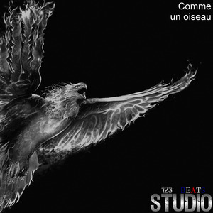Comme Un Oiseau