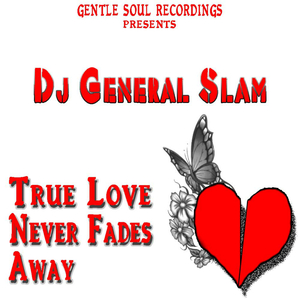 True Love Never Fades Away (Original Mix)