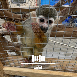 恼滩究凶栽赣