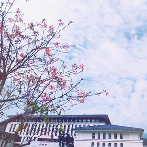 时间是无声的良方