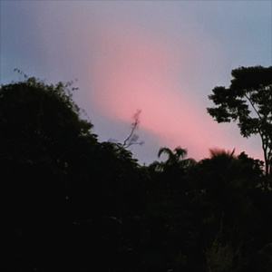 Anywhere but My Arms (Prod. DJ KHALED'S SON)