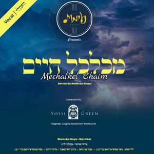 Mechalkel_chaim_Motty_Berger-boys_choir-Neemos_choir. (feat. Neemos Choir)