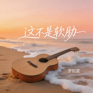 这不是软肋（激情版）