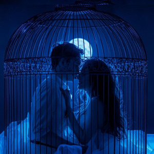 モッキンバードの夜