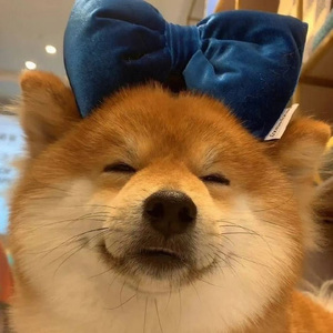 秋殇别恋（DJ 小杰 Remix）