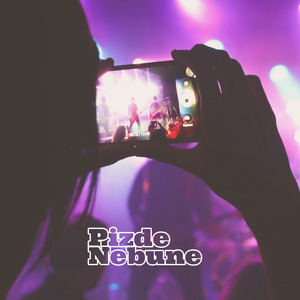 Pizde Nebune