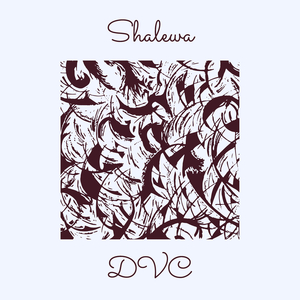Shalewa