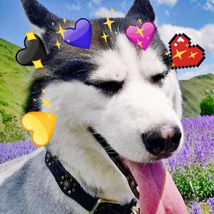 ❥❥【Prod by young oz】