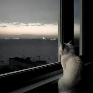 爱在心中藤蔓生长