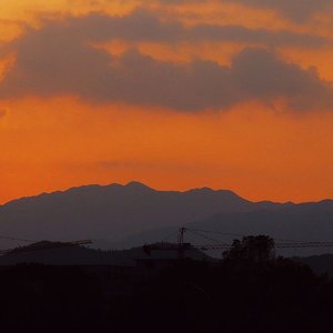 最好的老爸-海伦