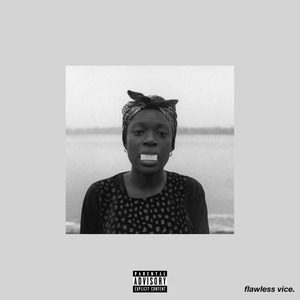 Flawless Vice