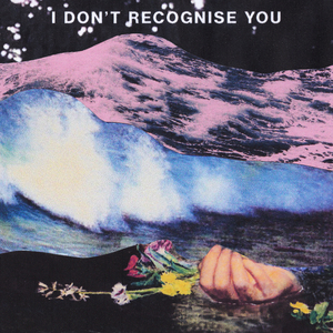 I Don't Recognise You