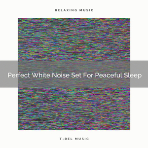 The Colorful Noise And The Power Chord Of Joy For Good Nap