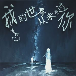 我的世界从未有过你