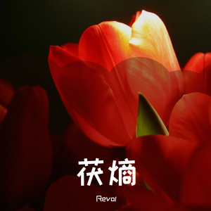 多少钱能让正义实现，可能多少钱都没用